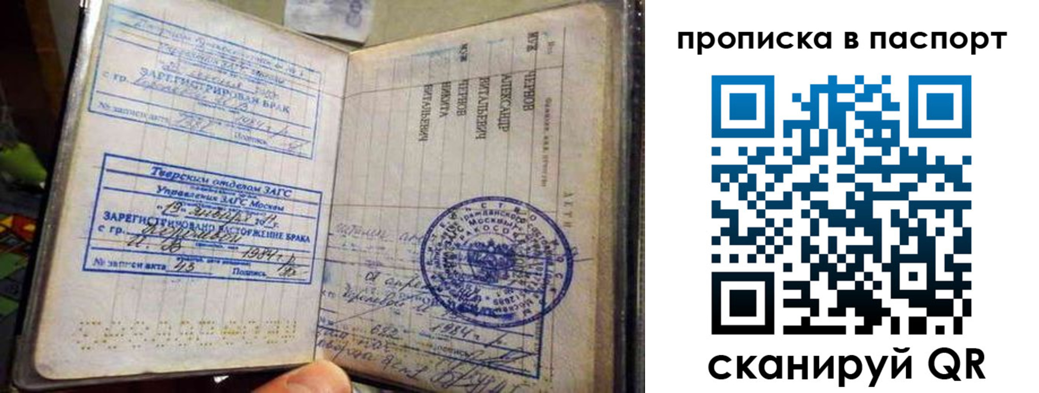 прописка поиск в Брянской области